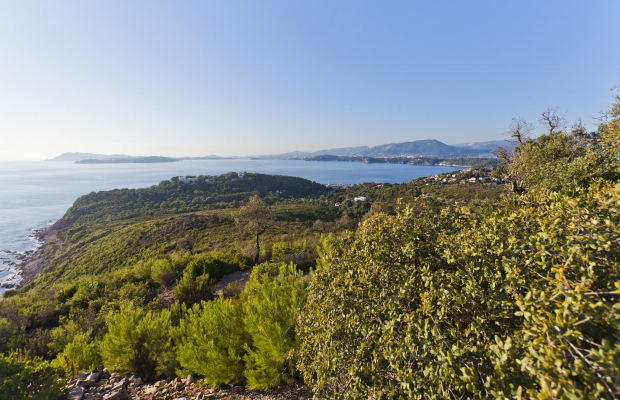 Massif de la Colle Noire