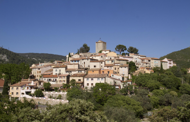 Vue d'ensemble du Revest-les-Eaux